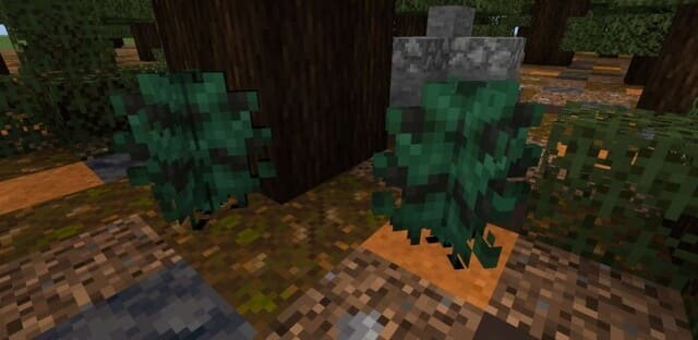 Снотворные ягоды