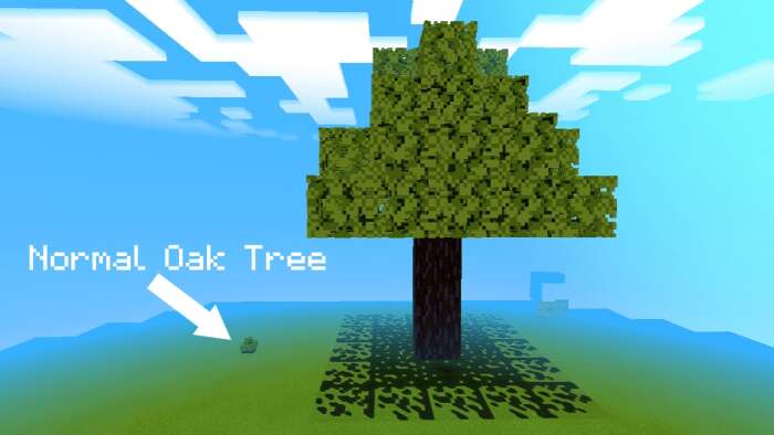 Карта Oak Tree but it's 16x BIGGER