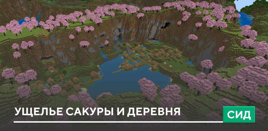 Сид Ущелье сакуры и деревня