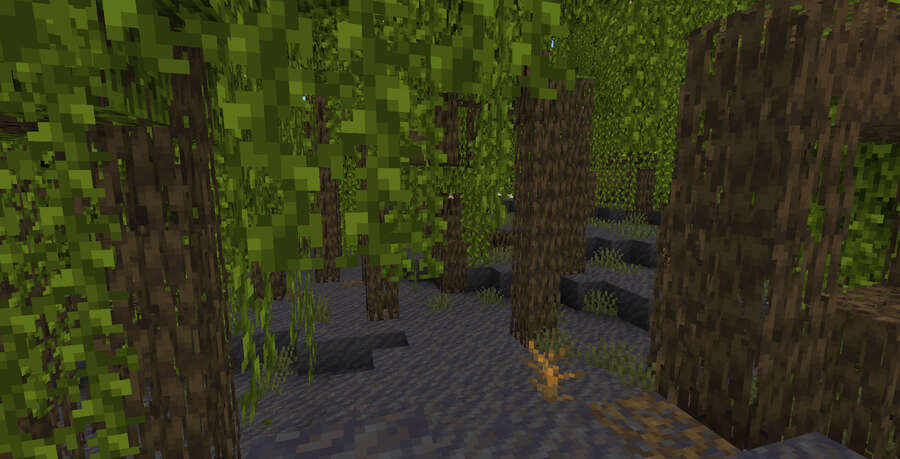 Сид Мангровые Болота