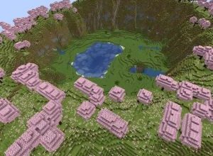 Сид Ущелье сакуры и деревня