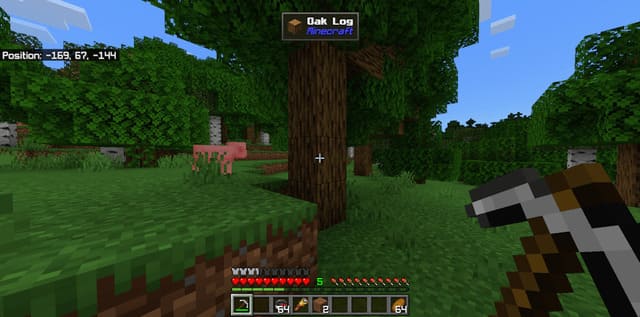 Мод: На Что Я Гляжу?