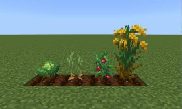 Мод: Фермерский Восторг 2