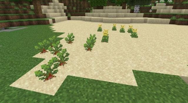 Мод: Фермерский Восторг 2