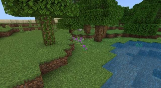 Мод: Фермерский Восторг 2