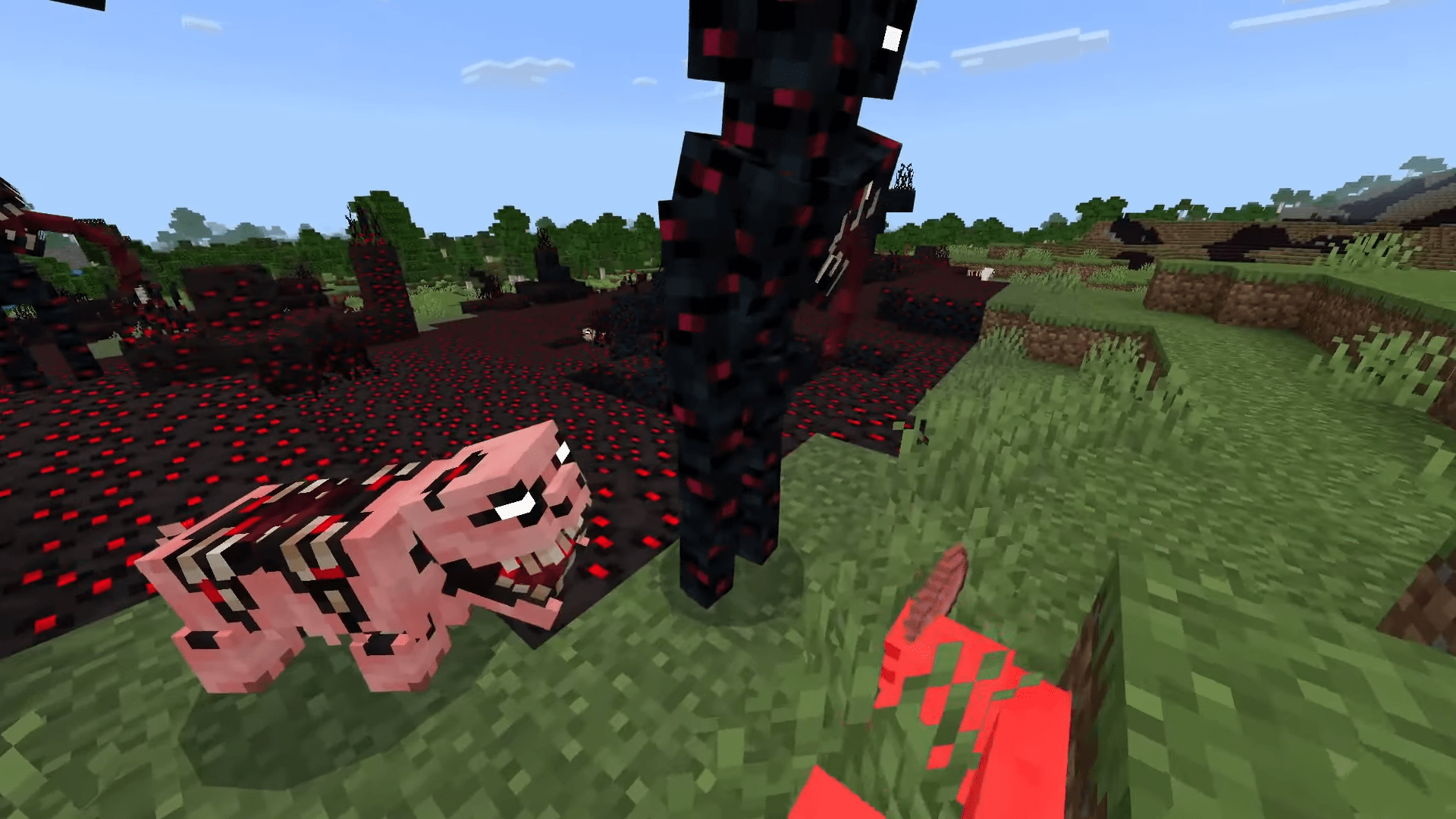 Infection Gaze Gloom